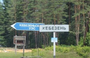 Животные портят могилы на кладбище в селе Кебезень