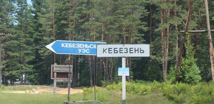 Животные портят могилы на кладбище в селе Кебезень