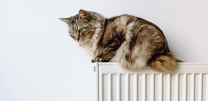 Отопительный сезон в Горно-Алтайске завершится 12 мая