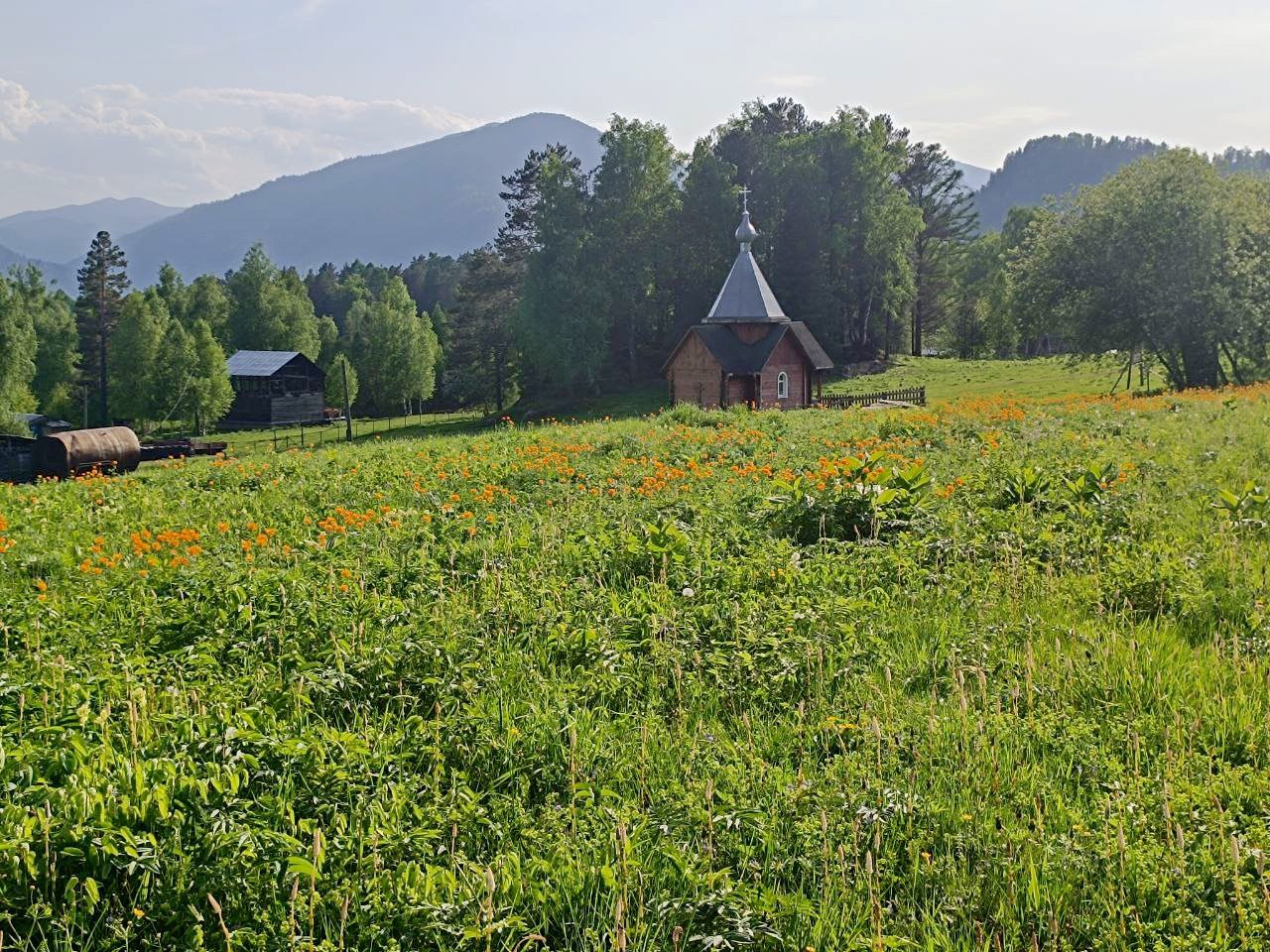 В Алтайском заповеднике зацвели огоньки 