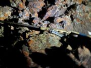 В Кош-Агачском районе мужчина застрелил односельчанина из-за выпаса скота В Кош-Агачском районе мужчина застрелил односельчанина из-за выпаса скота