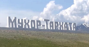 Жителям Кош-Агачского района удалось отстоять 2,5 тыс. гектаров земли