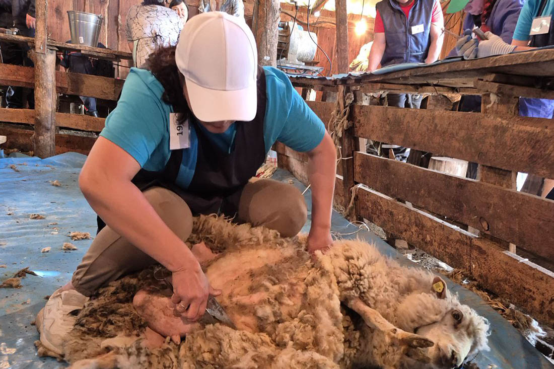 В Республике Алтай выбрали лучшего стригаля 