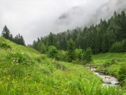 Очень теплая погода с дождями и грозами ожидается на Алтае Очень теплая погода с дождями и грозами ожидается на Алтае