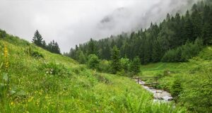 Очень теплая погода с дождями и грозами ожидается на Алтае Очень теплая погода с дождями и грозами ожидается на Алтае