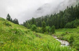 Очень теплая погода с дождями и грозами ожидается на Алтае Очень теплая погода с дождями и грозами ожидается на Алтае