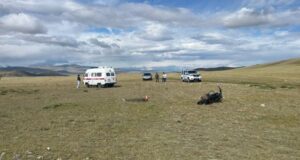 Подростки перевернулись на мотоцикле в Кош-Агачском районе, водитель погиб