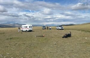 Подростки перевернулись на мотоцикле в Кош-Агачском районе, водитель погиб