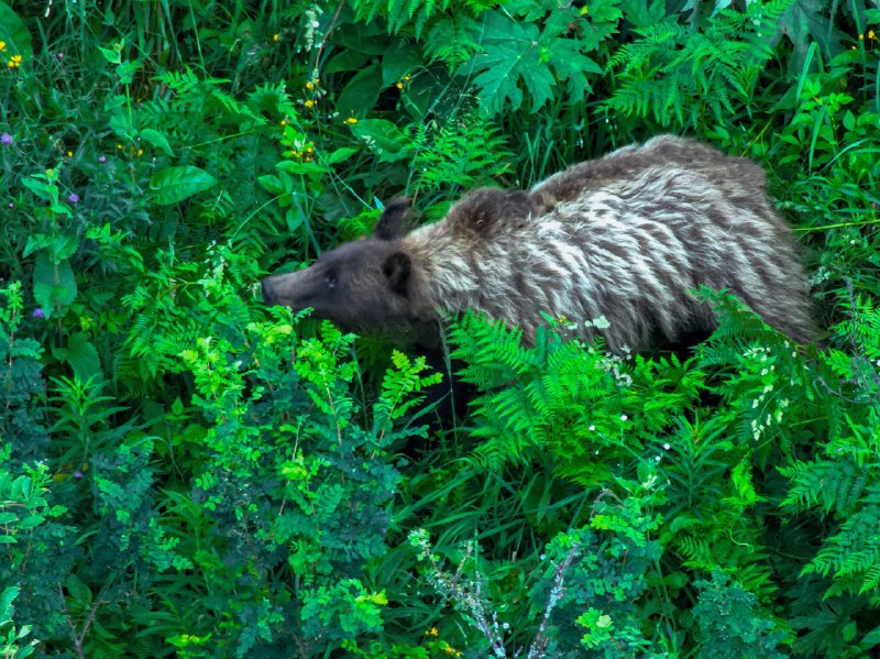 374893f5-a0b2-445a-ac26-67bf54ec6c92