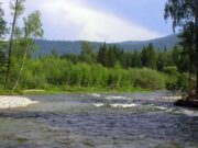 Золотодобытчики загрязнили реку в Турочакском районе Золотодобытчики загрязнили реку в Турочакском районе