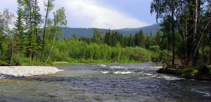 Золотодобытчики загрязнили реку в Турочакском районе