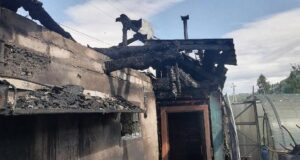 Два пожара произошло за сутки на Алтае: горели баня и кафе