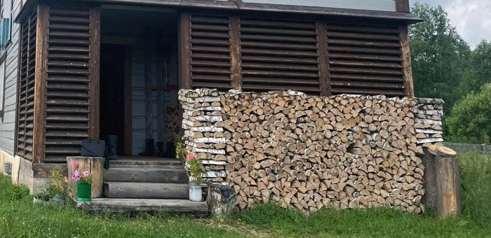 Сельчанин незаконно спилил 23 березы, чтобы отапливать дом