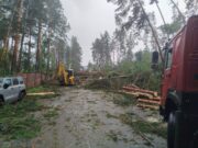 Из-за урагана в Чемальском районе упало около сотни деревьев