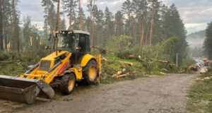 Электроснабжение в Чемальском районе восстановили после урагана