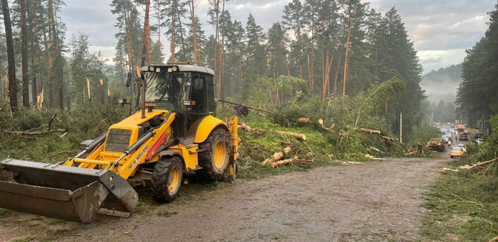 Электроснабжение в Чемальском районе восстановили после урагана