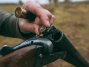 Утверждены лимиты добычи охотничьих ресурсов в Республике Алтай Утверждены лимиты добычи охотничьих ресурсов в Республике Алтай