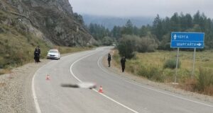 В Шебалинском районе «Нива» насмерть переехала лежащего на дороге мужчину
