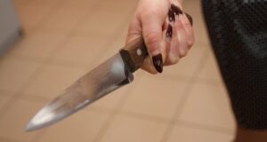 В Амуре пьяная женщина с ножом напала на сожителя