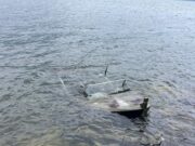 На Телецком затонула лодка, туристов из Кемерова удалось спасти На Телецком затонула лодка, туристов из Кемерова удалось спасти