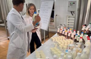От экопродуктов до золота: какие инвестпроекты работают на развитие Чойского района