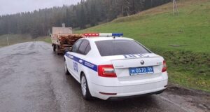 За время рейда «Водитель – пешеход» выявлено 53 нарушения Правил дорожного движения