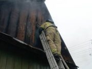Два пожара произошло за сутки на Алтае Два пожара произошло за сутки на Алтае