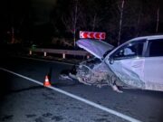 Пьяный горожанин устроил ДТП с пострадавшими у села Усть-Муны Пьяный горожанин устроил ДТП с пострадавшими у села Усть-Муны