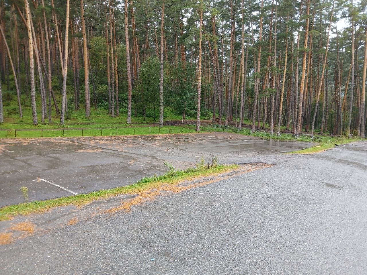 JL3In8nxuymSsIWt3lE_nCLxbKeC1scCg9P5Hnvw_VD07esUtGXe5kkXOkmornGpu-cFzrYqZMYzJrwcUA0U2IEy