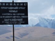 Ситуация с чумой в Монголии стабилизировалась Ситуация с чумой в Монголии стабилизировалась – Роспотребнадзор