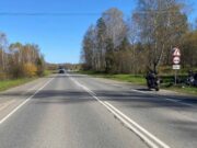 Байкер из Барнаула перевернулся на Чуйском тракте Байкер из Барнаула перевернулся на Чуйском тракте