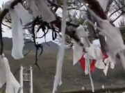 Новосибирская блогерша осквернила обрядовое место в Горном Алтае
