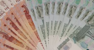 Предприниматель осужден за взятку помощнику лесничего Предприниматель осужден за взятку помощнику лесничего