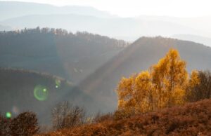 Ясные и теплые дни ожидаются на Алтае Ясные и теплые дни ожидаются на Алтае