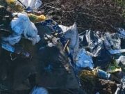 Свалку у Хабаровки убрали после вмешательства прокуратуры Свалку у Хабаровки убрали после вмешательства прокуратуры