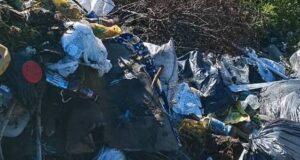 Свалку у Хабаровки убрали после вмешательства прокуратуры