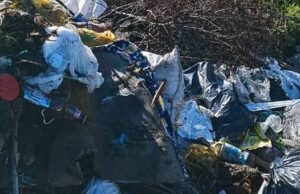 Свалку у Хабаровки убрали после вмешательства прокуратуры Свалку у Хабаровки убрали после вмешательства прокуратуры