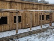 Приют для бездомных животных построили в Улагане Приют для бездомных животных построили в Улагане