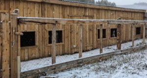 Приют для бездомных животных построили в Улагане