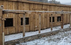 Приют для бездомных животных построили в Улагане