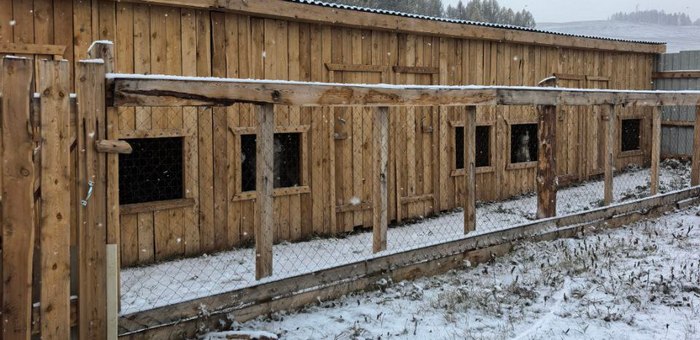Приют для бездомных животных построили в Улагане