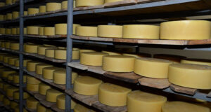 Стартовал отбор для сельхозкооперативов на получение господдержки