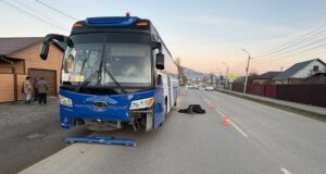 Автобус насмерть сбил пешехода в Горно-Алтайске