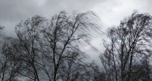 Прогноз погоды: объявлено штормовое предупреждение