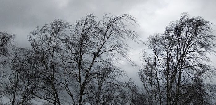 Прогноз погоды: объявлено штормовое предупреждение