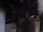В Горно-Алтайске произошел пожар в многоквартирном доме В Горно-Алтайске произошел пожар в многоквартирном доме