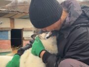 «Дари тепло»: Новые люди помогли приюту для животных