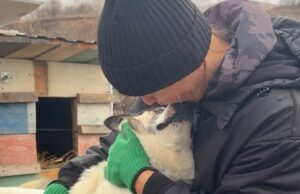 «Дари тепло»: Новые люди помогли приюту для животных
