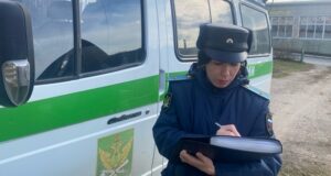 Сельчанин оплатил задолженность по налогам и штрафам после ареста «Газели»