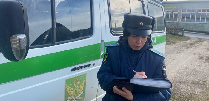 Сельчанин оплатил задолженность по налогам и штрафам после ареста «Газели»